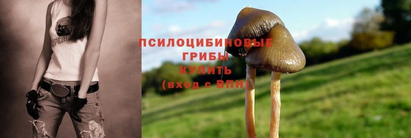 mix Белокуриха