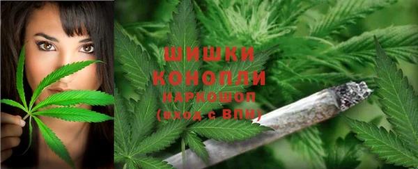 молекула духа Белоозёрский