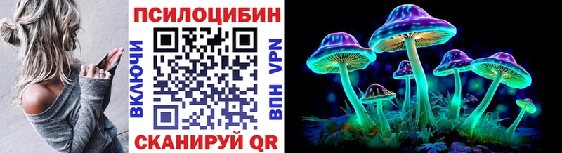 наркота  Белая Холуница  Псилоцибиновые грибы Psilocybe 
